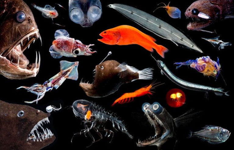 The Origins of Water – The DiPietro Hypothesis